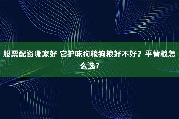 股票配资哪家好 它护味狗粮狗粮好不好?平替粮怎么选?
