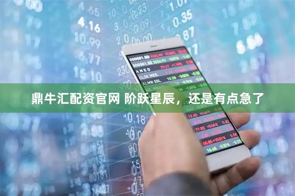 鼎牛汇配资官网 阶跃星辰，还是有点急了